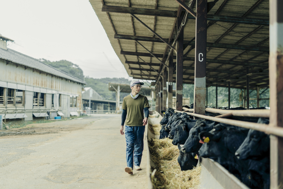 牛舎の見回りをする飼育員の写真