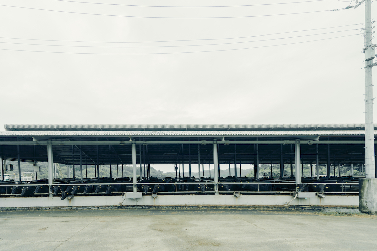 牛舎の外観写真